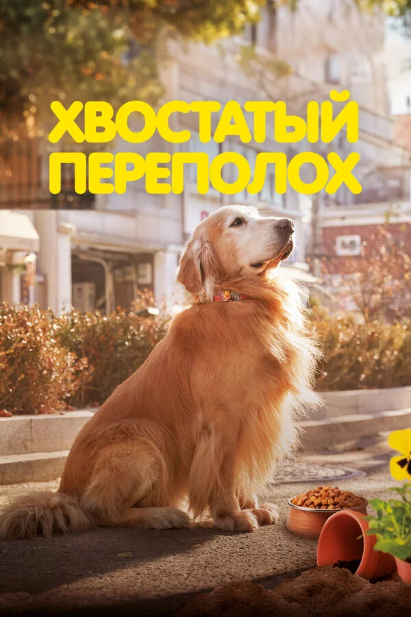 Хвостатый переполох сериал 2024 смотреть онлайн бесплатно в хорошем качестве HD